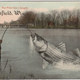 Illustration for article titled Tall Tale Fishing Postcards, The Ultimate Humblebrag Of The Early 1900s